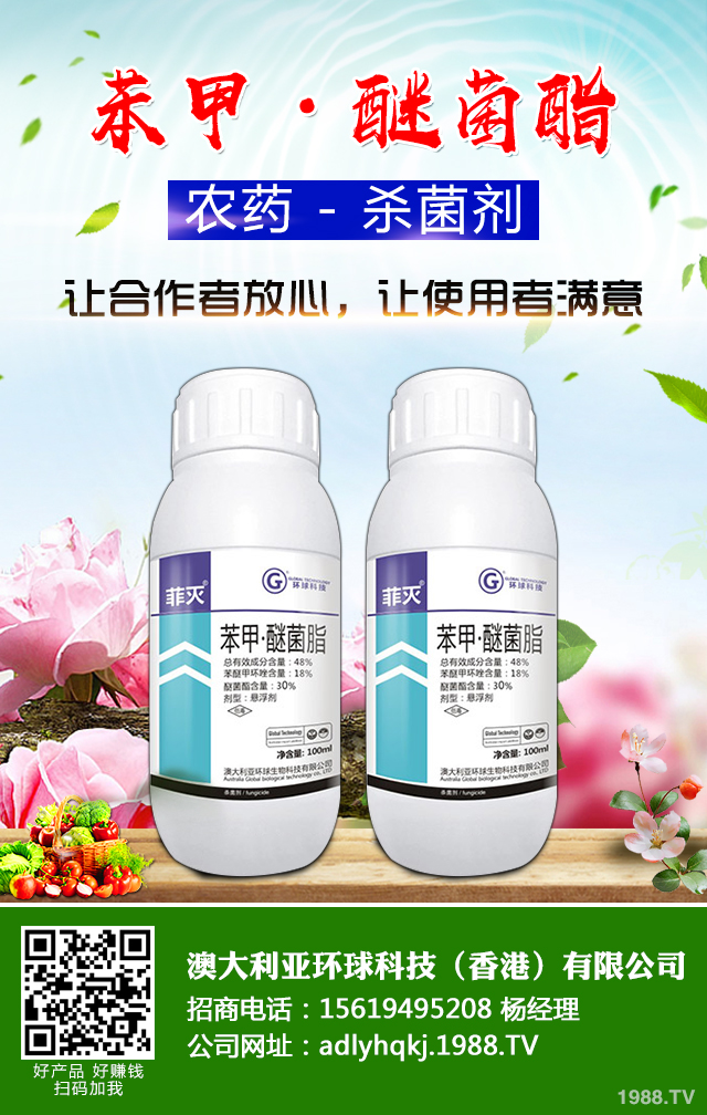 �O����֦�ɲ�����ô�k�������O�������N֦�ɲ���