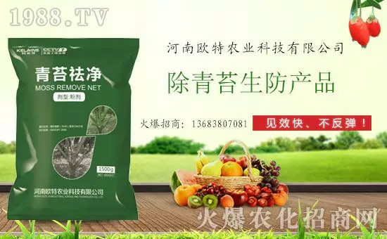 �������̦���������������Ƀ�����̦�o(w��)ۙ��