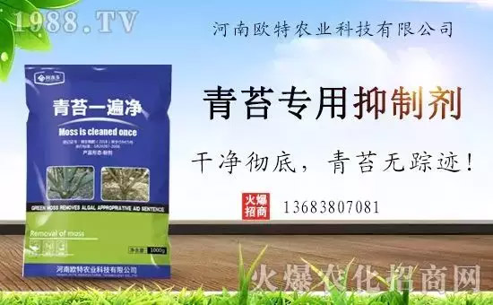 �������̦���������������Ƀ�����̦�o(w��)ۙ��