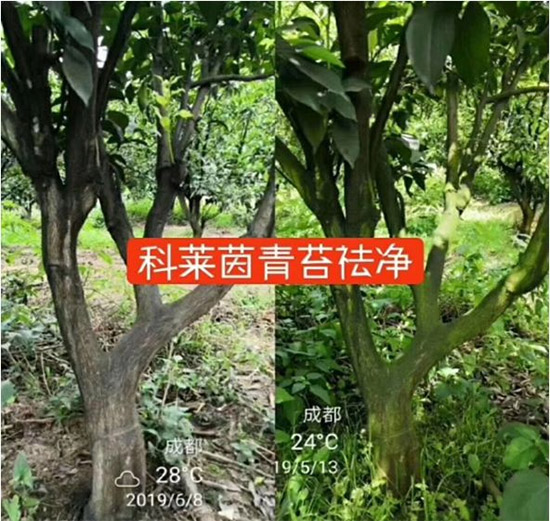 �������̦���������������Ƀ�����̦�o(w��)ۙ��