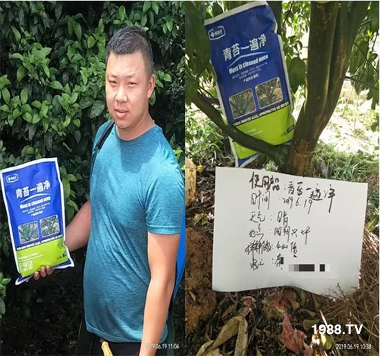 �������̦���������������Ƀ�����̦�o(w��)ۙ��