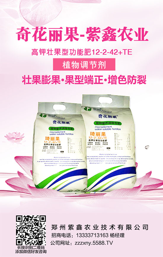 黃瓜施肥時的五大避免,大家知道嗎?