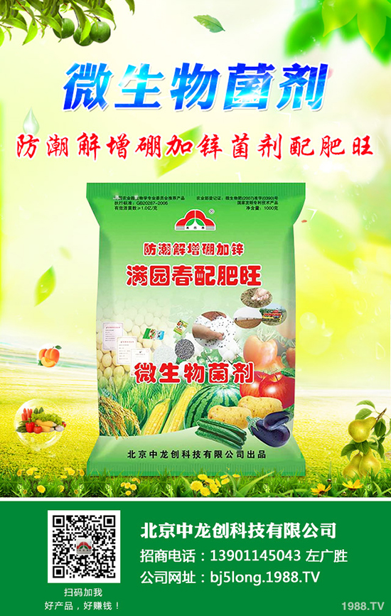 ����ʲô�r��Nֲ���ã����ٵ�����Ҫ�c����Щ��