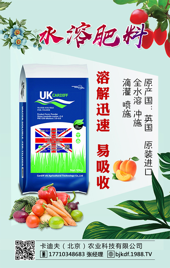 �S����Ҫ��ô�Nֲ���S���ˌ��h(hu��n)���l����Ҫ����