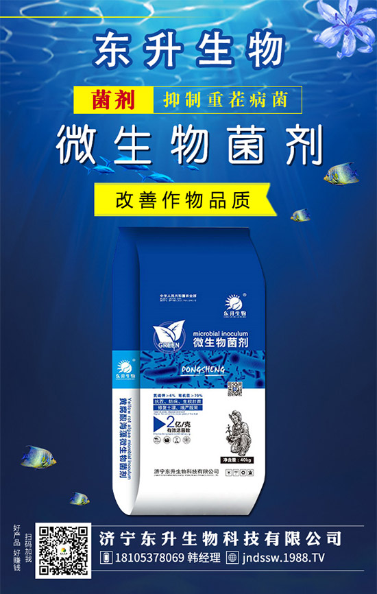 ʯ���(sh��)ʲô�r(sh��)��޽Ӻ���ʯ���(sh��)�޽ӷ�������Щ�أ�