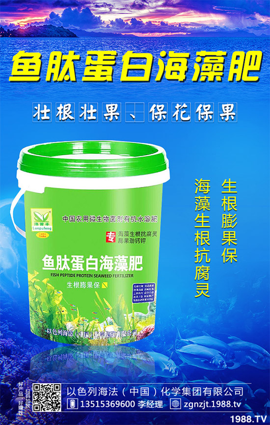 �۲˲���������ЩΣ����ԓ��η��Σ��۲˲�������Σ���c����