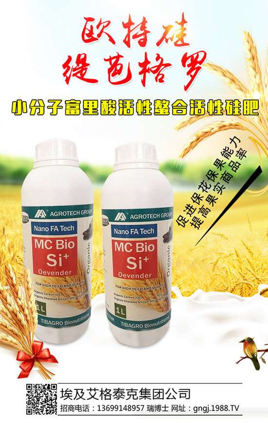 ���������Y��������ô���£��������������������