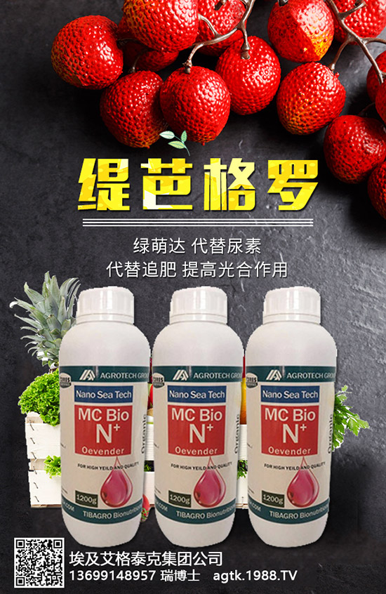 ���A�ĠI�B(y��ng)�rֵ����Щ����Ч�c��������Щ��������Щ��Ⱥʳ����