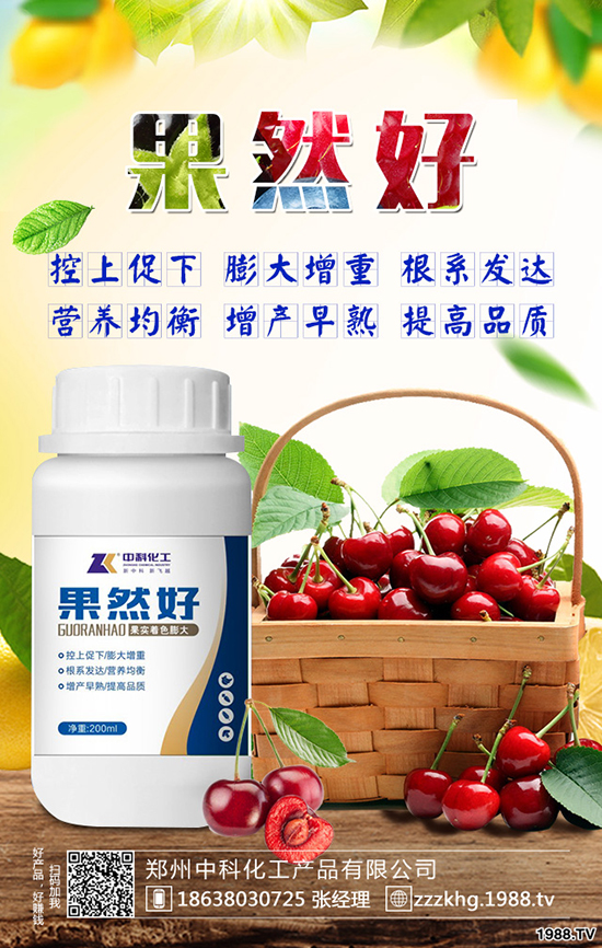 �O����Ę������Щ�Y�����O����Ę��ԭ�򼰷��Σ�