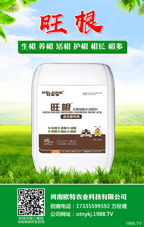 �t������Щ���湦Ч���t�ٵĹ�Ч���ü�������Ⱥ