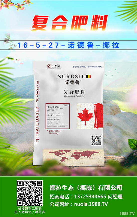 �Nֲʲôˮ����(hu��)ٍ�X��2020��ˮ���Nֲָ��