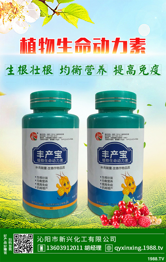 怎樣才能種好大白菜？大白菜高產(chǎn)種植技術(shù)要點(diǎn)