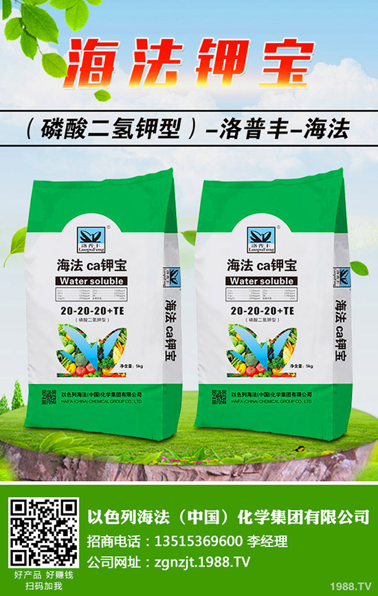 �������ö�������޼�����䶬���޼��ĕr�g��������