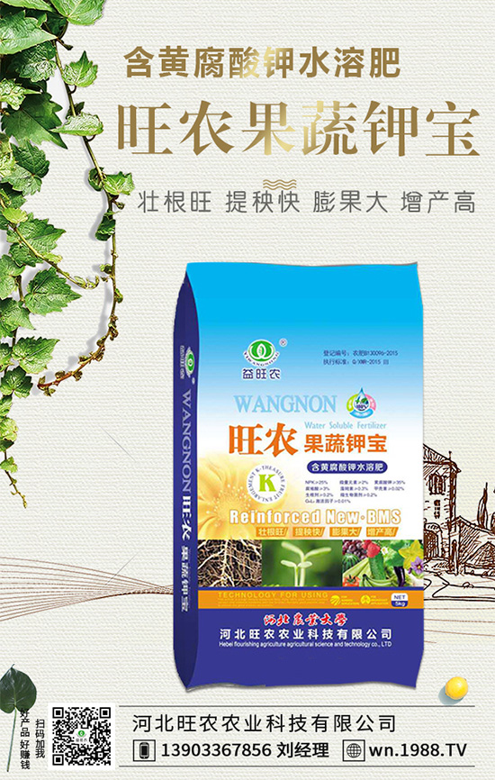 ���������L��������Щ���������B(y��ng)�oҪ�c��