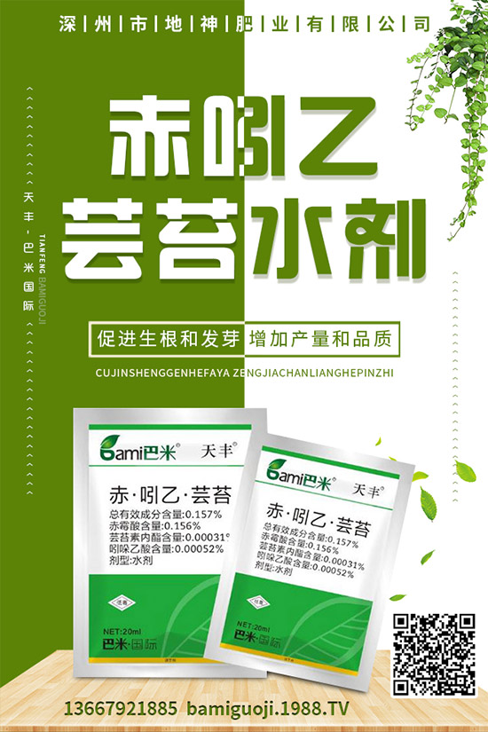 �t���ĠI�B(y��ng)�r(ji��)ֵ����Щ���t���Ĺ�Ч�����cʹ�ý��ɣ�