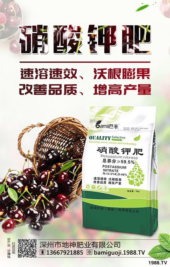 �t������r�g��ʲô�r�����t�����緽������Щ��