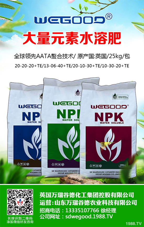 ¶������ʲô�r��Nֲ��¶�������߮a(ch��n)�Nֲ���g