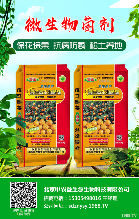     ����С���[��ηNֲ������С���[�Nֲ�r�g���Nֲ������