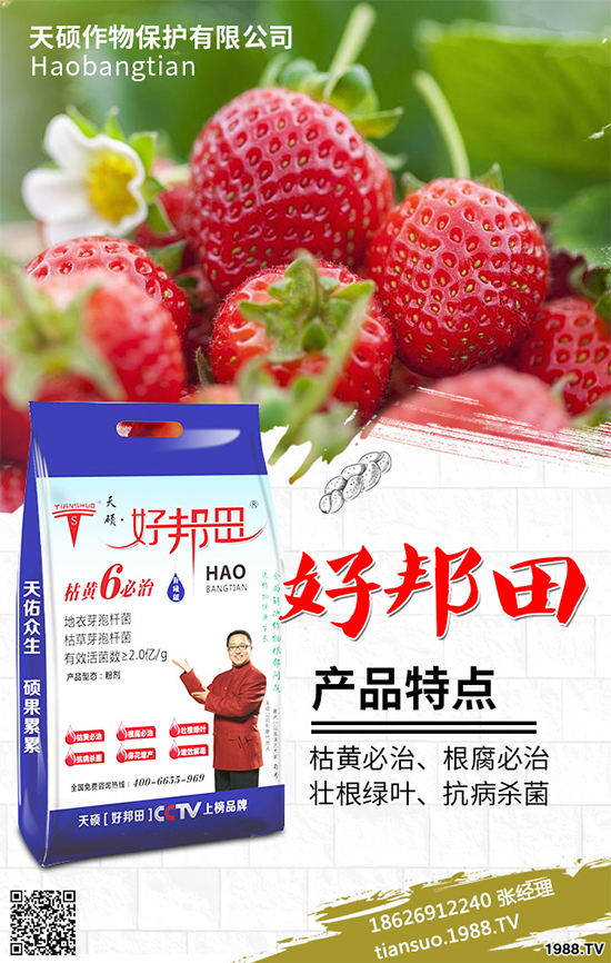 �����Ϲ�ԓ��ηNֲ�������Ϲϴ���Nֲ���g(sh��)