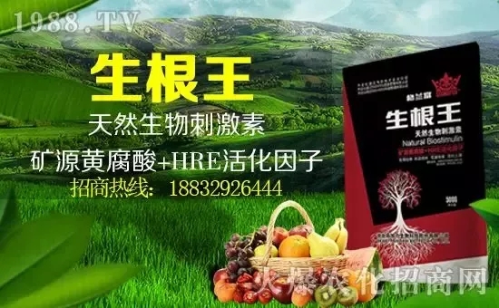 С���q�r�����e��r���^2500Ԫ/����