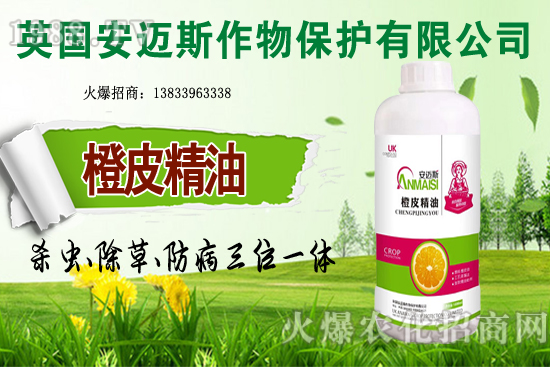 10�·Nֲ��Щ�߲˸����m�����g����Ҫ���c(di��n)ץ���Ď��c(di��n)��