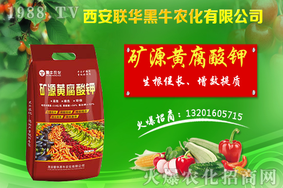 �＾����ԓ��ι������＾������푪(y��ng)������Ĵ��`�^(q��)��