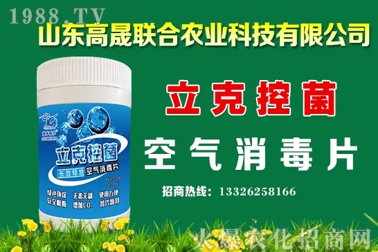 2020年10月13日國內(nèi)小麥價格行情