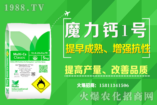 ʮ����Ѯ�m�ϷNֲʲô��ˎ������Щ��ˎ��ٍ�X����ߣ�