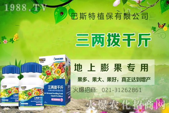 影響牛膝根系的生長因素有哪些?牛膝生根壯苗用什么葉面肥?