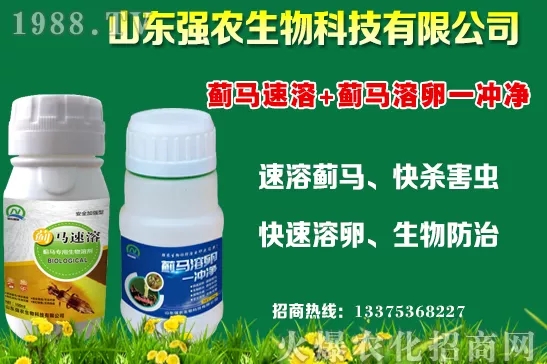 �ﶬ11�·Nֲʲô�߲˱��^���m���߲˷Nֲע�������