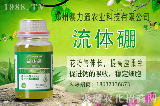 ⛷ʃr(ji��)����m(x��)���q��2020-10-30����(n��i)⛷ʃr(ji��)���(b��o)�r(ji��)һ�[