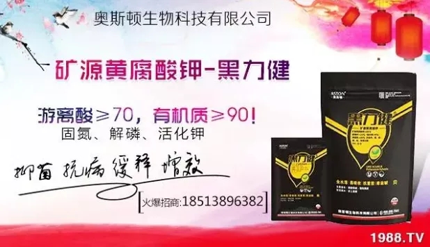 ����ʲô�r�g���N��ע���������Щ�����ش���Nֲ�r�g����