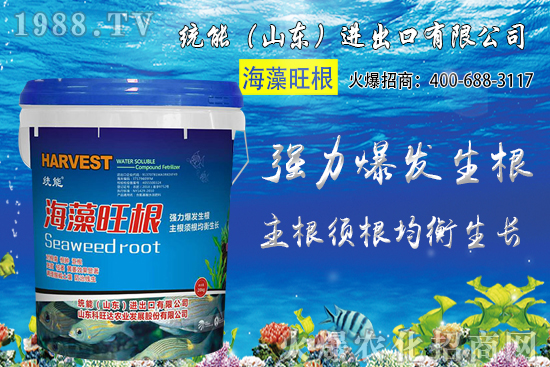 С���Nֲ�r�g��δ_����2020��С���Nֲע����Щ���}��