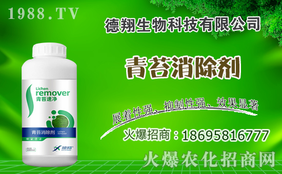 �Ͳ�ʲô�r�g�Nֲ���Ͳ˷Nֲ������ʲô������Щע�������