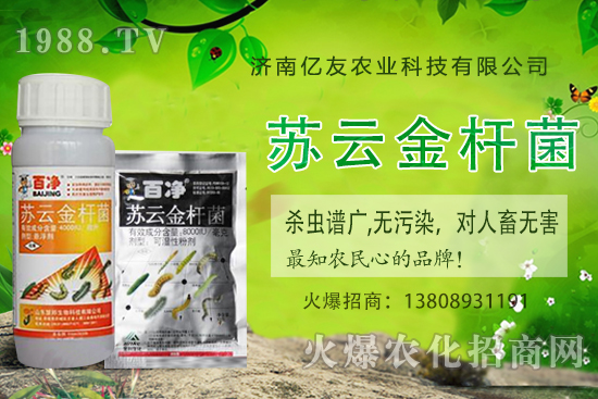 �S�ҷNֲ��(y��ng)ԓע����Щ������S�ҷNֲ�r�g�����g������