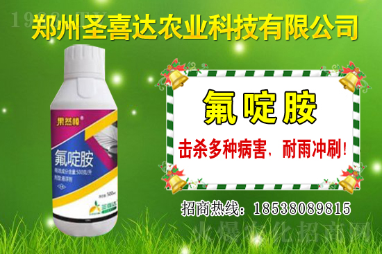 �������N��������Щ���������Ժ�ʲô�����׷N��