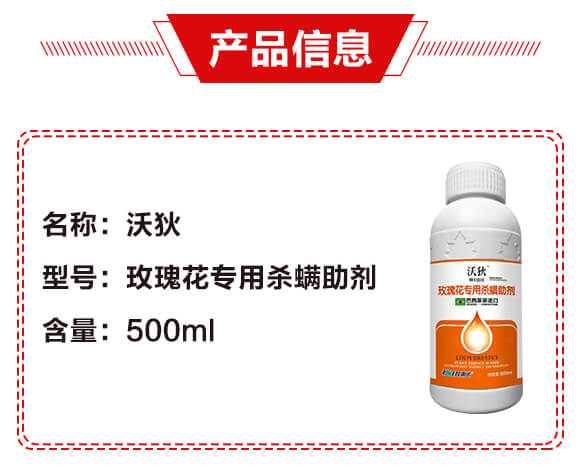 õ�廨��(zhu��n)�Ú�������-�ֵ�-�����r(n��ng)_02