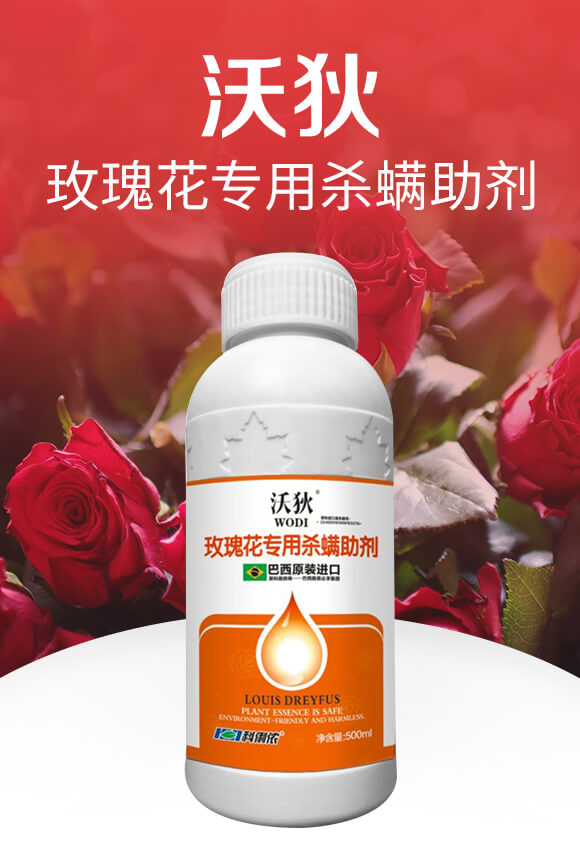 õ�廨��(zhu��n)�Ú�������-�ֵ�-�����r(n��ng)_01