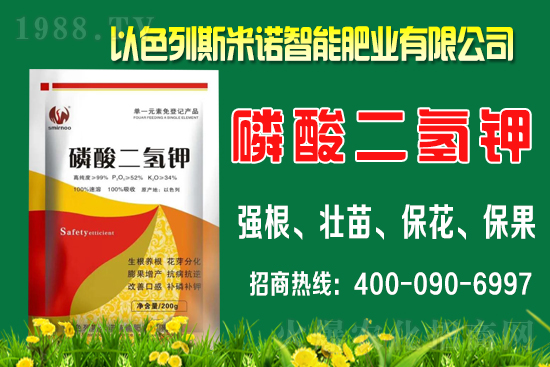 ����ʲô�r�gʩ�������ٵ�ʩ�ʕr�g��������B��