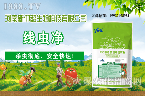 11��6�Շ���С���r���ව(w��n)���ֲ�С�����ӣ�