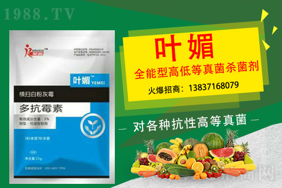 ������������̫�y�p������p�ɽ�Q��