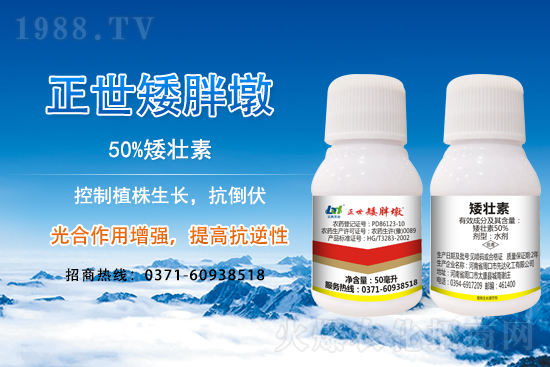 С����ǰ���L��ʲôΣ������ȡʲô��ʩ����Ч��ͽ�L��