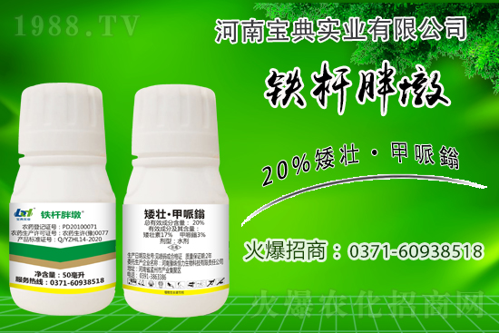 С����ǰ���L��ʲôΣ������ȡʲô��ʩ����Ч��ͽ�L��