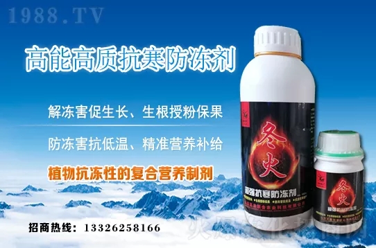 早春韭菜如何施肥？韭菜施肥方法和注意事項！