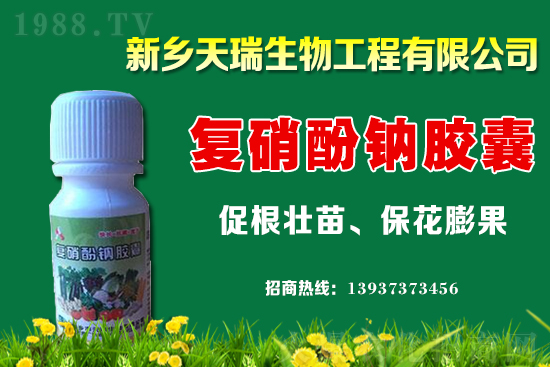 ���[һ�����ܮa(ch��n)���ٽ������[�r(ji��)�����ϝq��