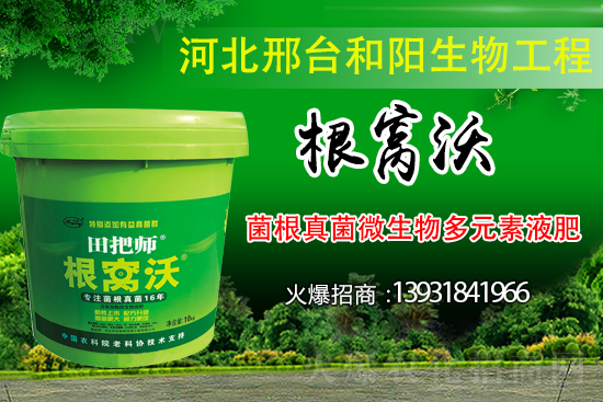 ��Щ��������������������ȡʲô��ʩ���Է��Σ�