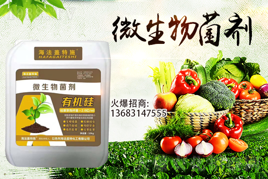 ������(l��i)�u��������m(x��)�͜�����������Ҫ�c(di��n)��