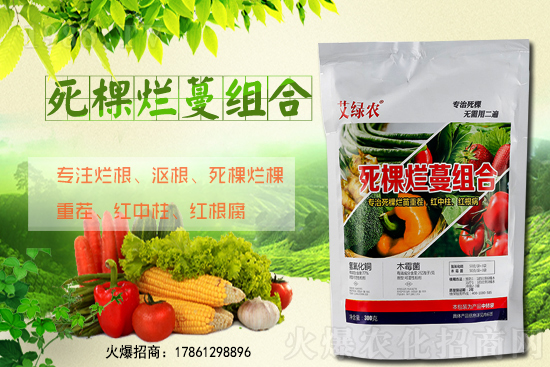 ����ʩ����ʲô�r�g�m�������٘䶬��ԓ��ô������