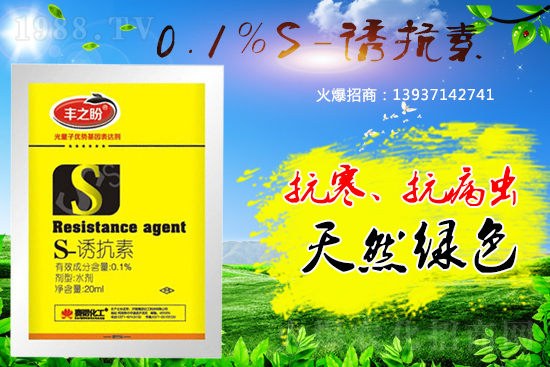 �P��ֲ���{����S-�T���أ����˽������