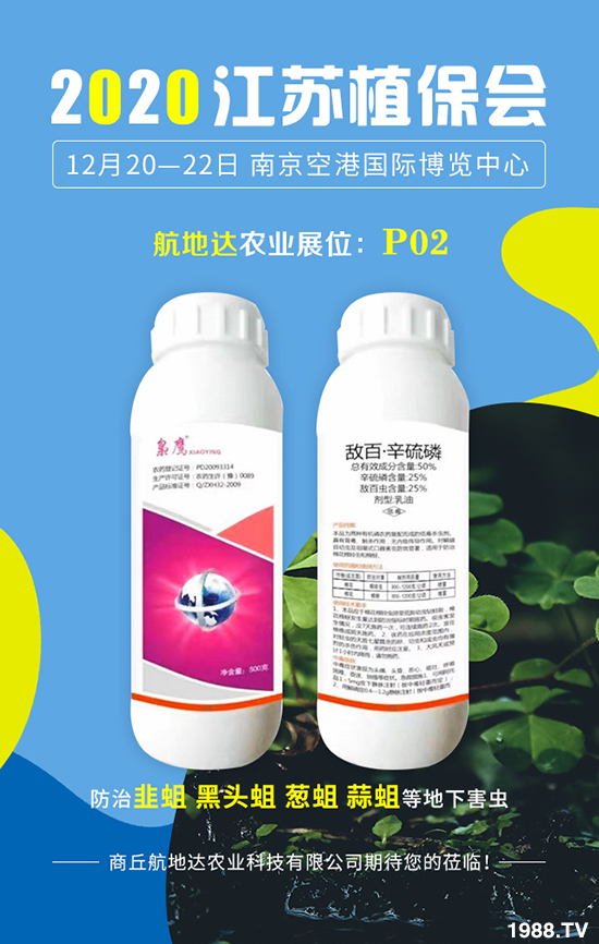 2020���Kֲ����(hu��)�������_(d��)�r(n��ng)�I(y��)�������࣬�@ϲ���������u(p��ng)�B�B��